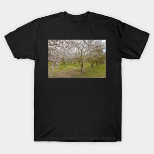 Blooming Almond T-Shirt